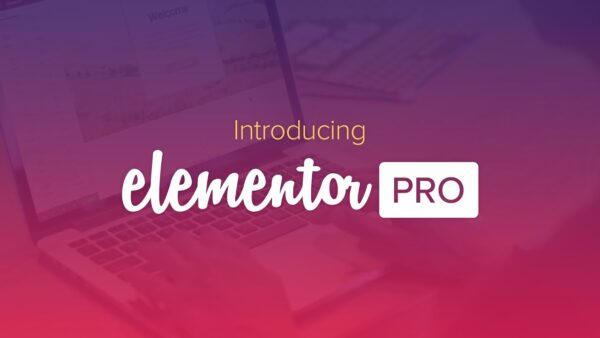 Elementor PRO WordPress Page Builder + Pro Templates 3.33.1