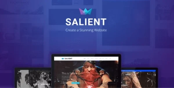 Salient Theme Creative Multipurpose & WooCommerce Theme 17.2.0